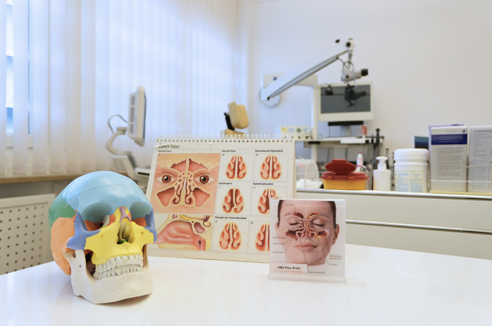 Anatomie der Nase